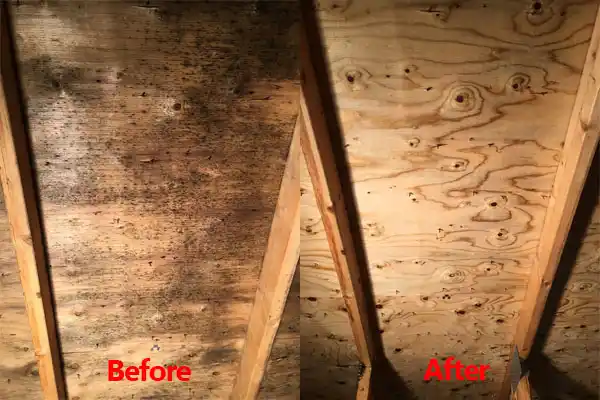 water damage restoration service Capac